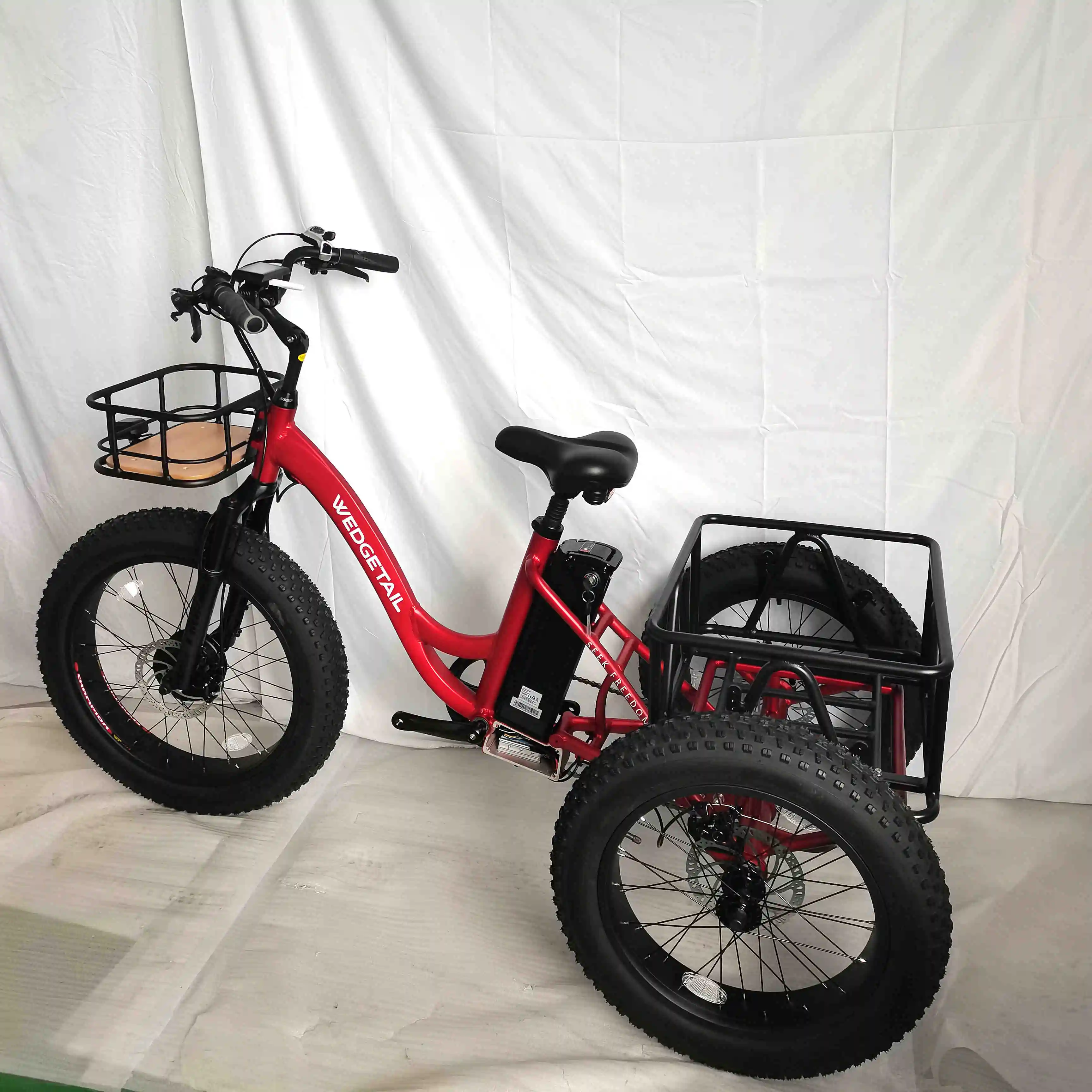 48V 1000W ebike electric bike 3 wheel electric