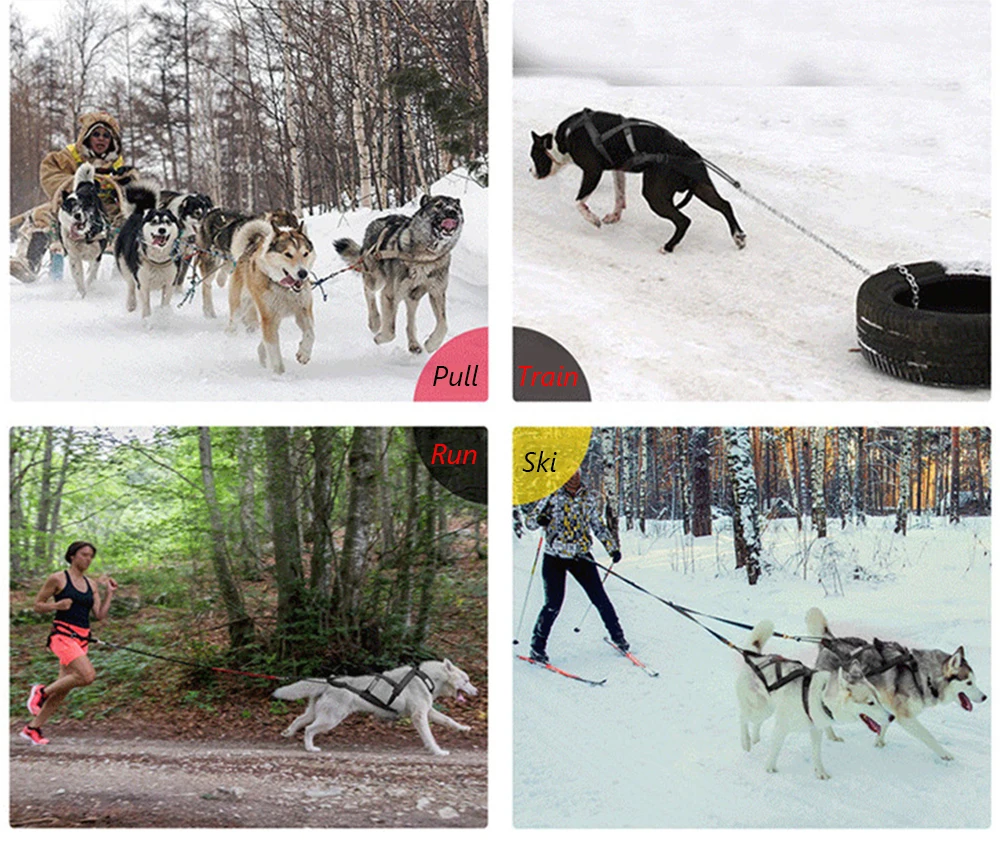 Hochwertiges Schlaufen-Geschirr für große Hunde zum Skifahren und Laufen – Geschirre für mittelgroße und große Hunde wie Alaska Hound, Bulldoggen und andere Haustiere – Zubehör – Detail 4