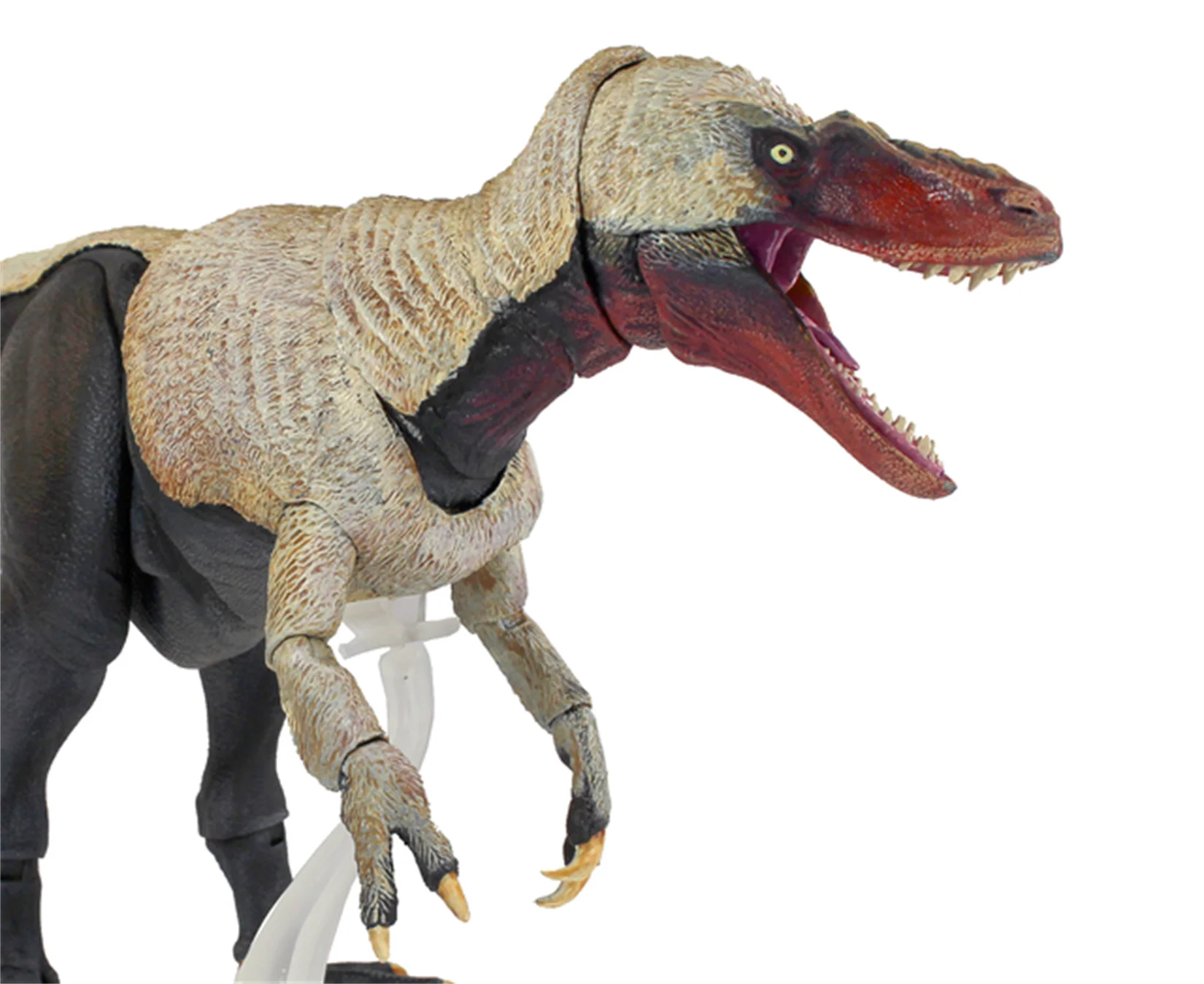 Animali del Mesozoico Scala 1:18 Dryptosaurus Aquilunguis Modello Dinosauro Animale Action Figure Collezione Decorazione di scene Giocattoli