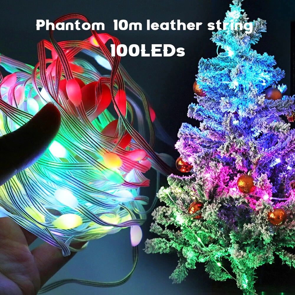 USB RGBIC Smart Fairy Lights Waterproof PVC Wire Bluetooth String Light Decoration for Christmas Party Wedding Home