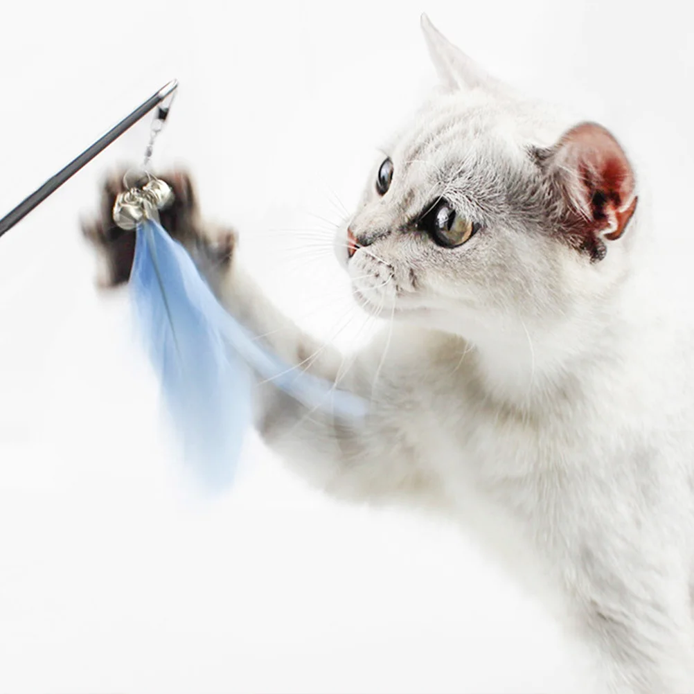 

2Pcs Cat Teasing Stick with Pendant Adjustable Height Sturdy Build Premium Material for Kitten Exercise and Interactive