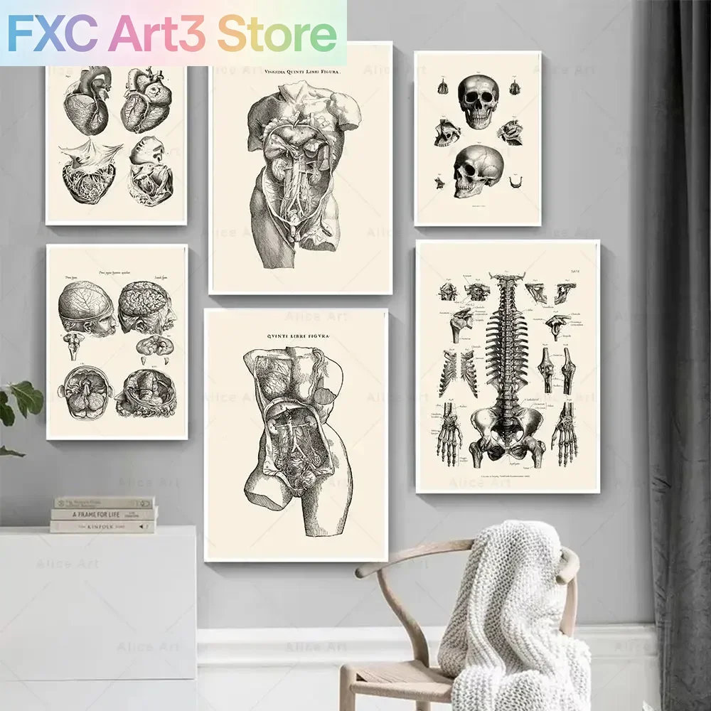 Frameless,Scandinavian Minimalist Wall Art Human Anatomy Skull Brain Heart HD Canvas Poster Print Home Bedroom Living Room Decor