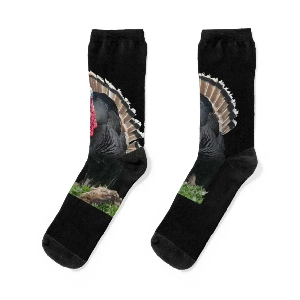 

Ugly Turkey Socks men cotton high quality japanese fashion Lots christmas gift Luxury Woman Socks Men's