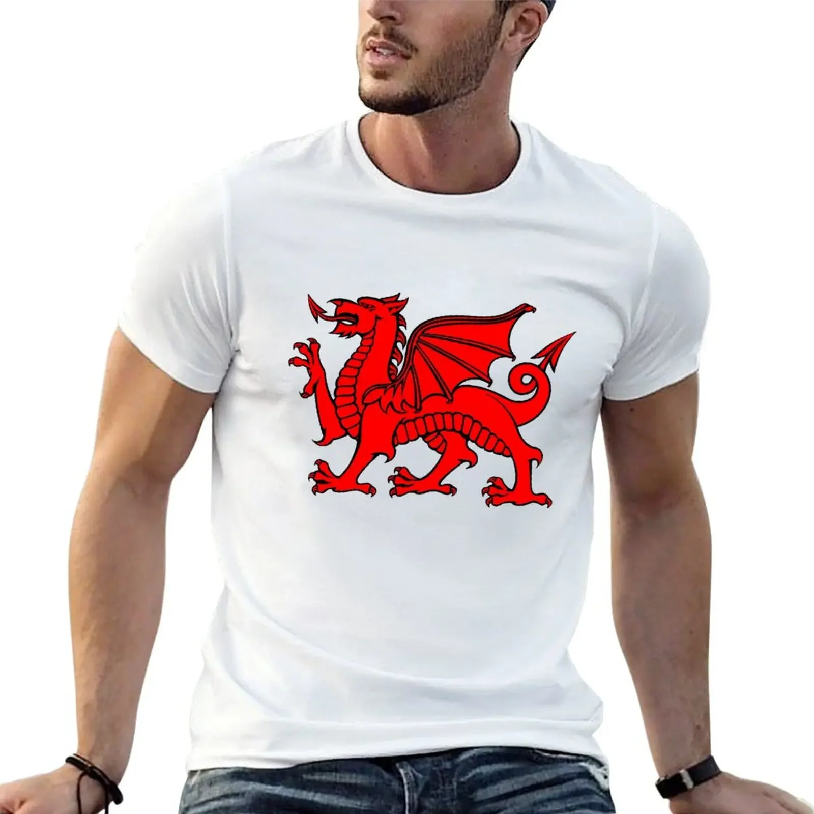 

Red Dragon, Wales, Welsh Flag, Draig gogh, Cymru T-Shirt boys animal print for a boy oversized t shirt t shirts for men