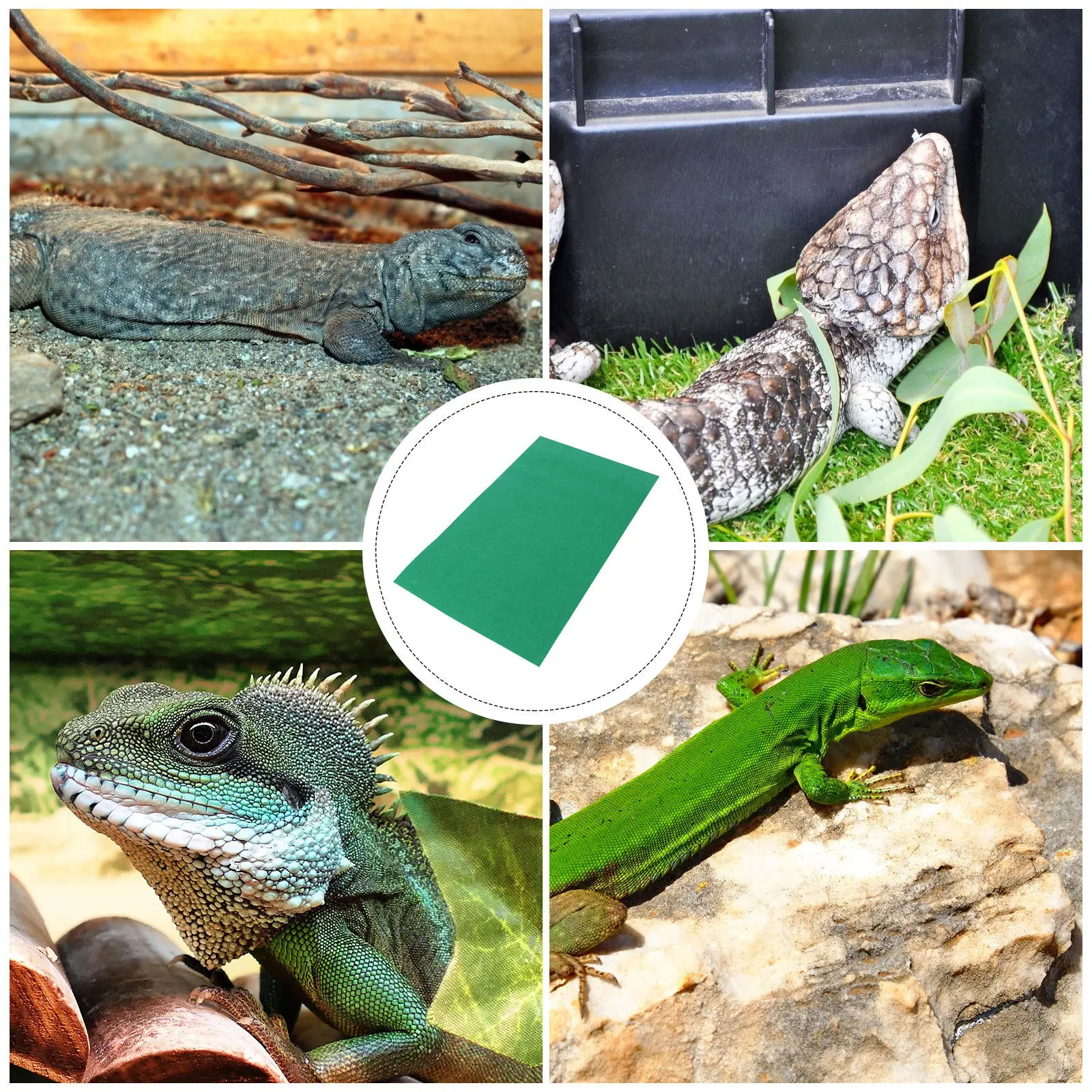 Reptilienmatte Eidechsenteppe  – Cat Litter Mat Bewertung und Preis