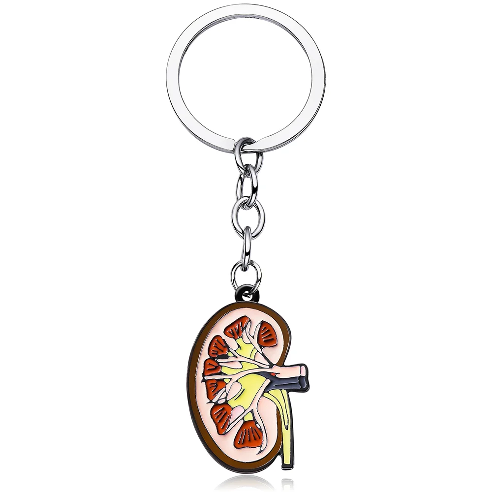 medical kidney organ keychain anatomy urology surgeon nurse medical student jewelry enamel key pendant