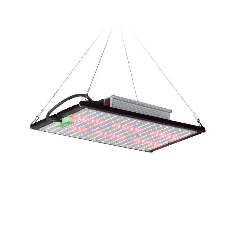 120W 240W Full Spectrum Quantum Board LED Grow Light For Indoor Potted Vegetables Herbs Flowers Healthy Photosynthesis Growth