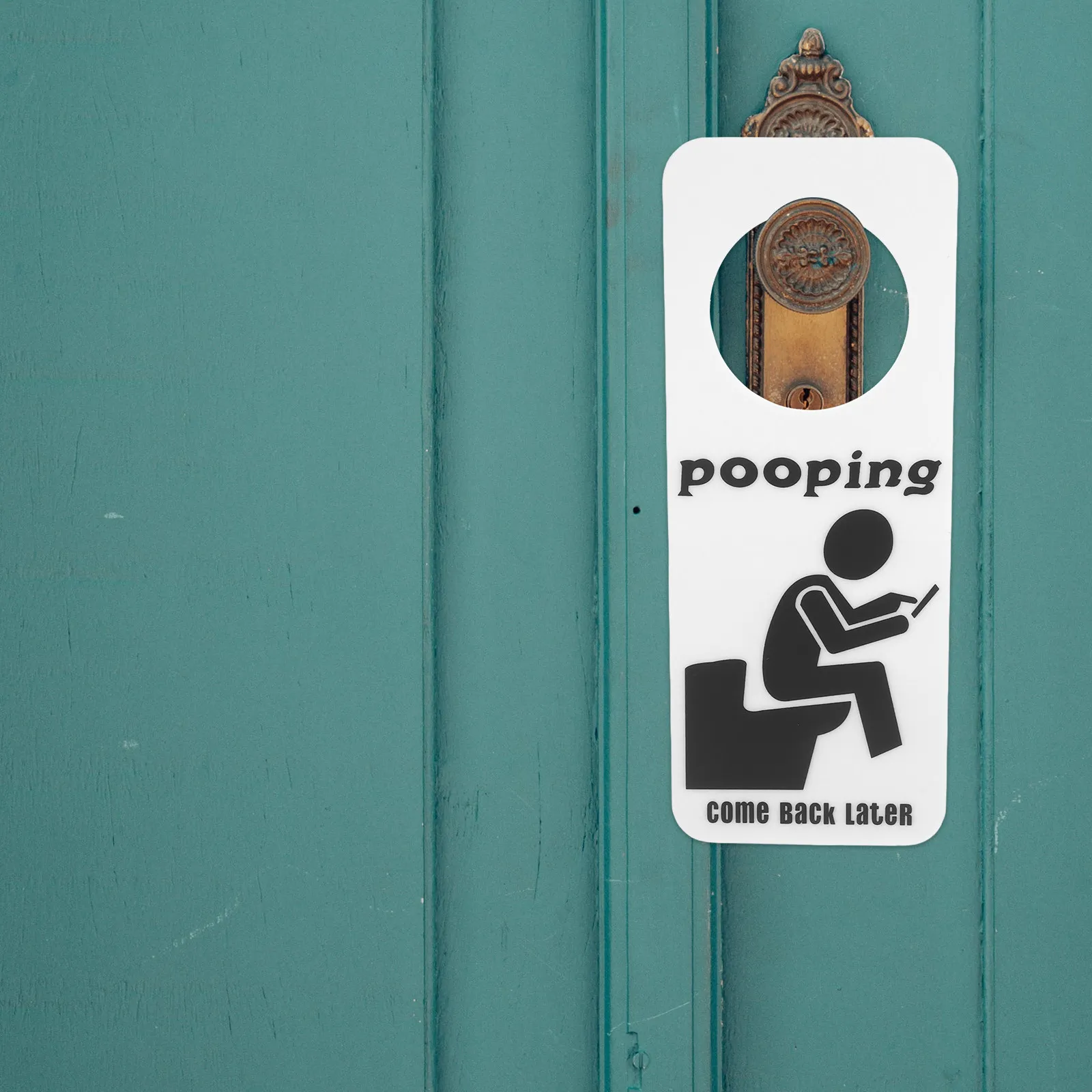 Funny Restroom Occupied Sign Bathroom Door Hanger Easy to Hang for Home Office Hotel Toilet Bathroom Hanging Door Sign