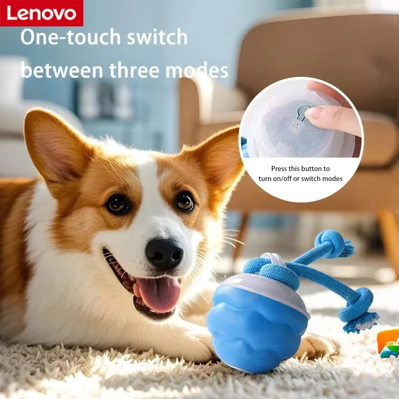 #7 New Dog Fetch Toys Arrivals