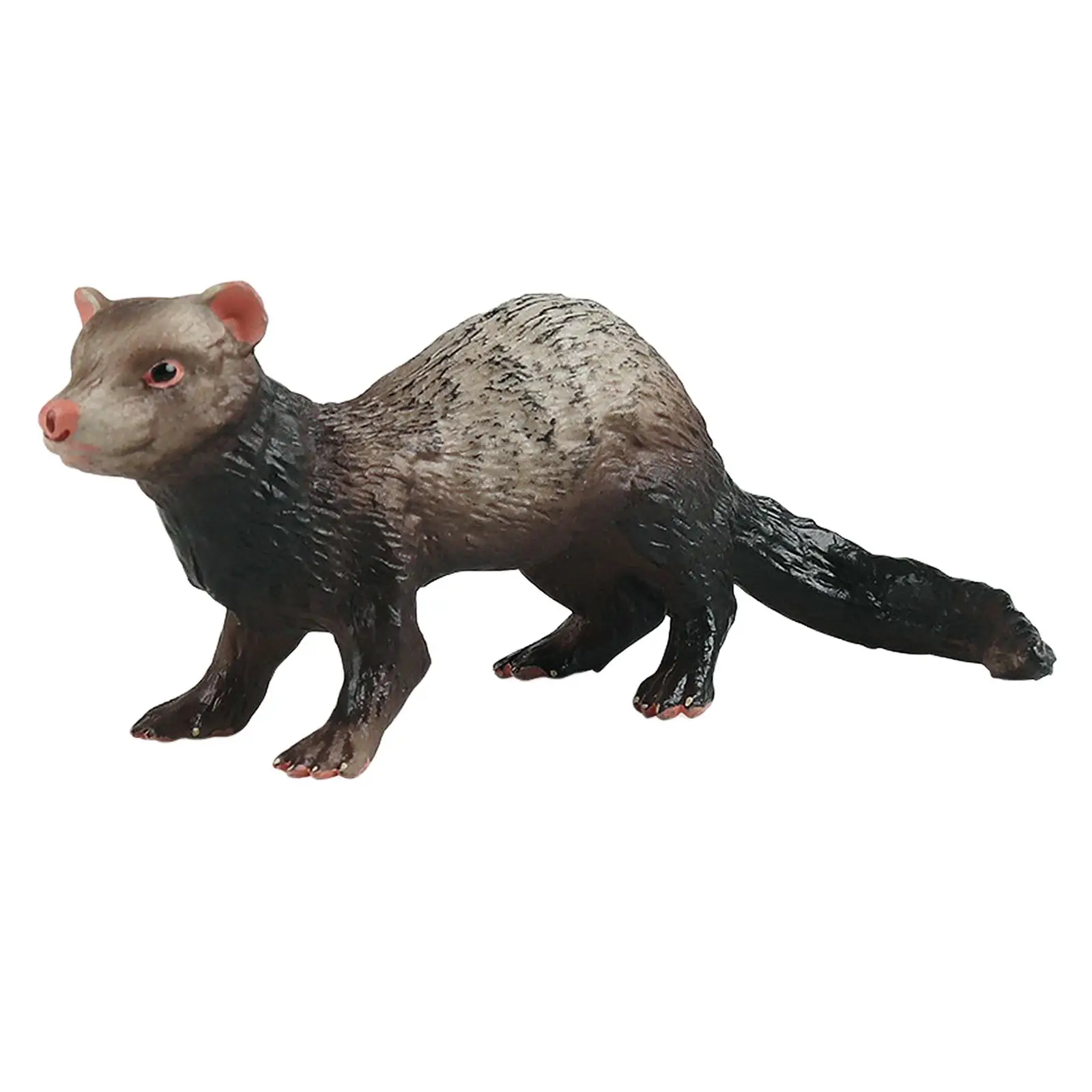 Figurines de simulation de furet d'Auckland, modèle animal, jouet d'apprentissage, ensemble de jeu créatif, cadeaux d'anniversaire