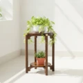 S New Cn Style Plant