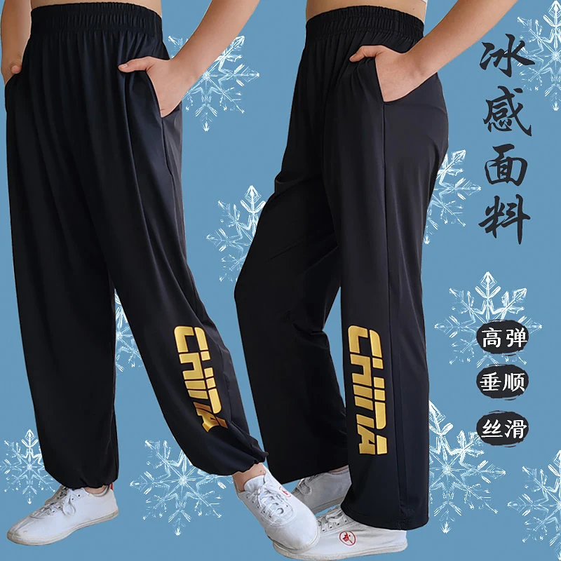 Professional Kung Fu Training Pants, Nylon Ice Silk Straight-leg High-Elasticity Pants for Tai Chi & Practice