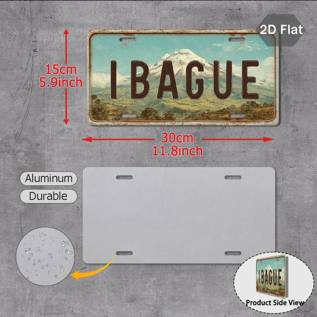 2D Flat Printing Warm Welcome Aluminum License Plate (29.97 cm X 14.99 cm), Retro Winter Themed External Decor Plaque