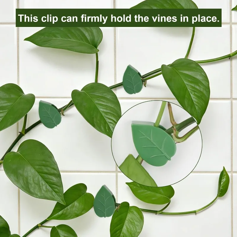 Climbing Plants Leaf Traction Fixer Invisible Vine Traction Support Holder Self-Adhesive Plant Wall Clips for Vines & Cables