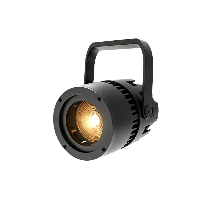 Mini IP65 Outdoor Waterproof 200W WW CW or 250W RGBL LED Par Lights DJ Disco Concert Stage Electric Zoom 20°-80° Audience Light