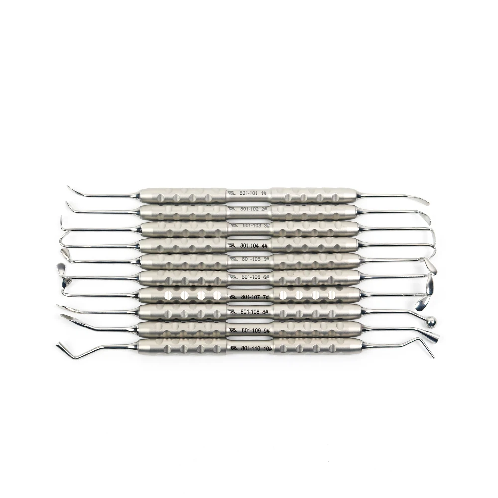 10 Pcs Dental Sinus Lift Elevators Double Ended Surgical Implant Instruments Kit with Stainless Steel Cassette Storage Box