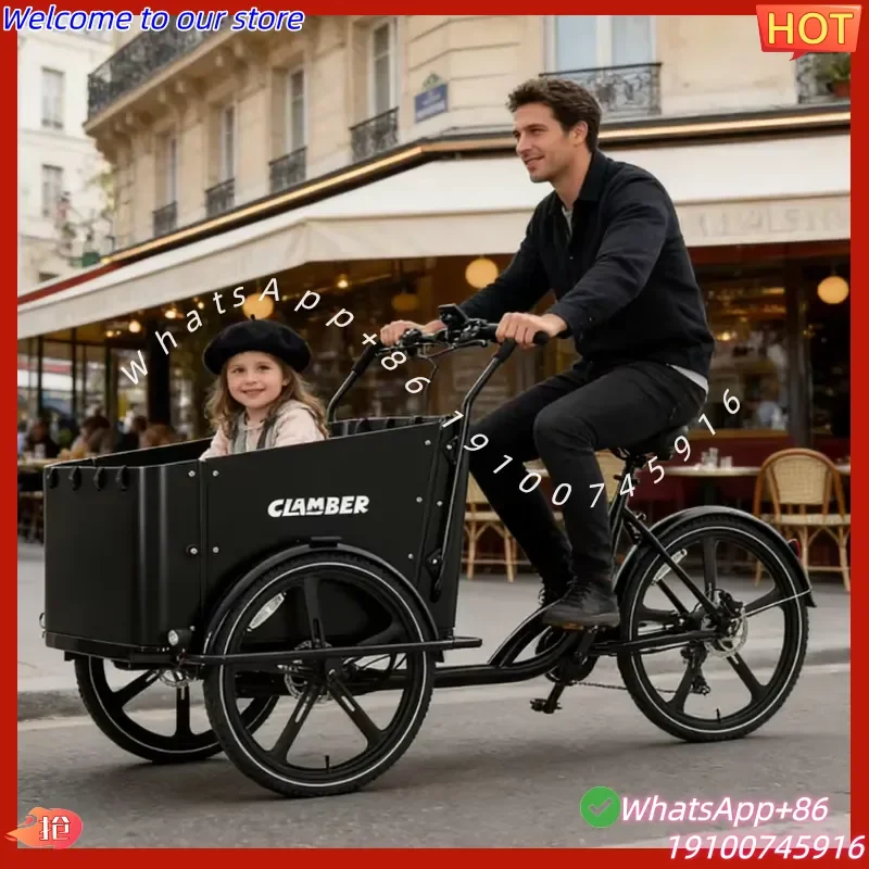 2026Hot Factory Price 8-Speeds Electric Cargo Bike 250W 3-Wheel Cargo Bike with 36V Battery Europe Stock 3