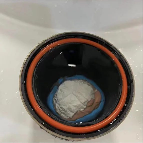 Dentals Pressure Polymerizer, Portable Denture Pressure Cooker, Tooth-boiling Pressure Cooker, Orthodontic