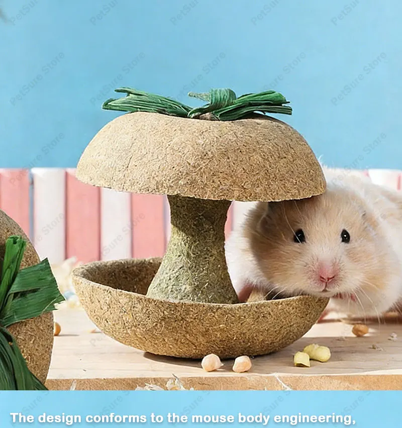 Hamster Chew Toys for Teeth & Natural Timothy Grass Bunny Treats Sf75ea90858ed46019ee0cf8ef98b16f5p