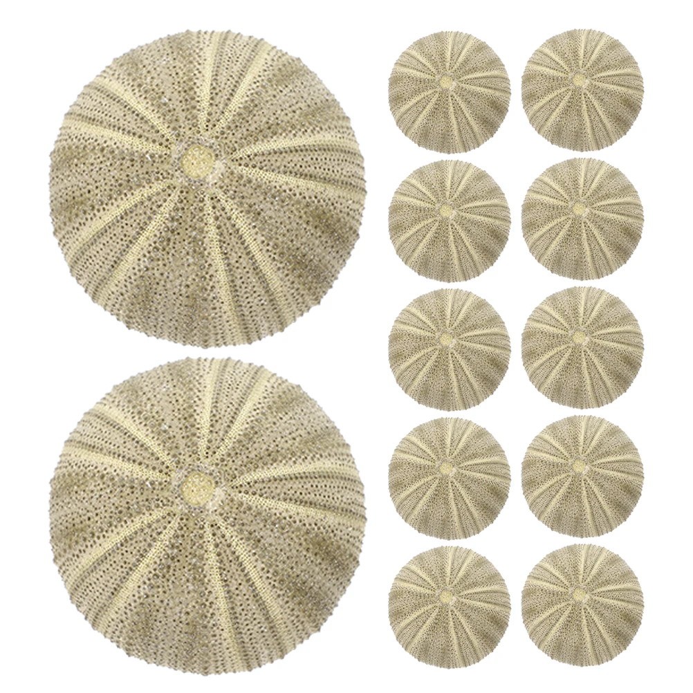 

18Pcs Sea Urchin Shells Natural Decor Vase Fillers DIY Craft Supplies Aquarium Landscaping Ornaments Home Decoration