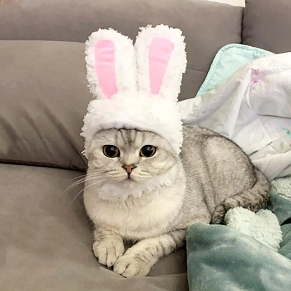 1pc Bunny Ears Cat Hat Themed Pet Costume Knit Fabric Set Comfortable Polyester Pullover Headwear for Cats & Small Dogs