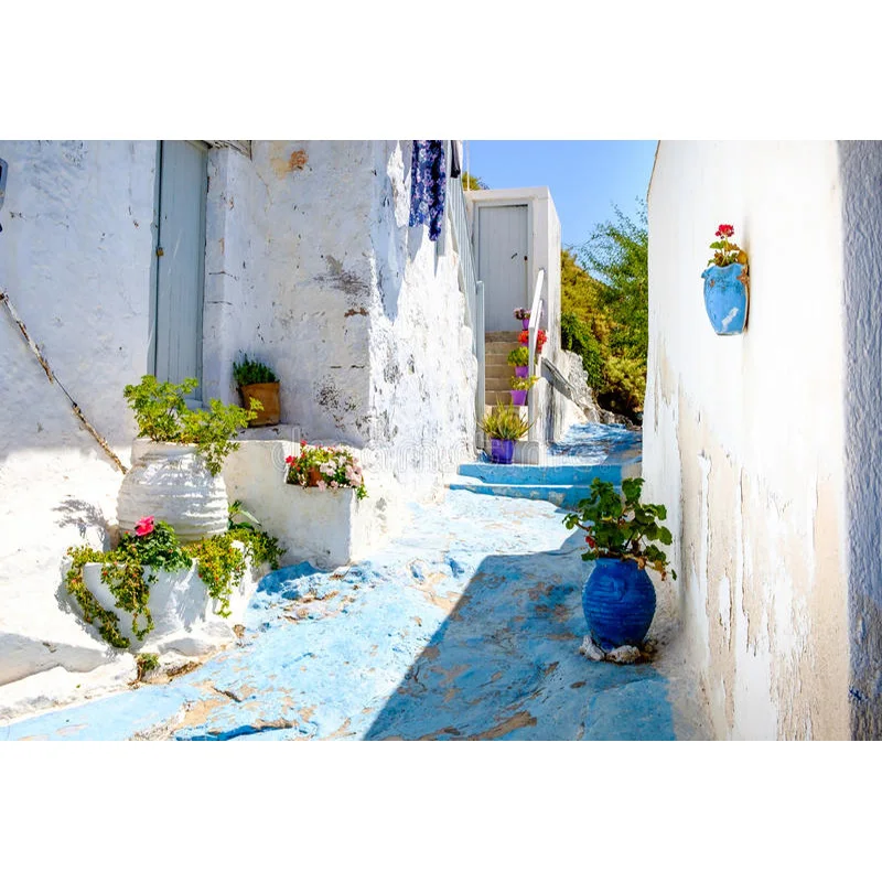 منازل قديمة مطلية باللون الأبيض لصور الزفاف ، والتصوير الفوتوغرافي ، والدعائم للجزيرة الساحلية ، والدعائم المزهرة ،