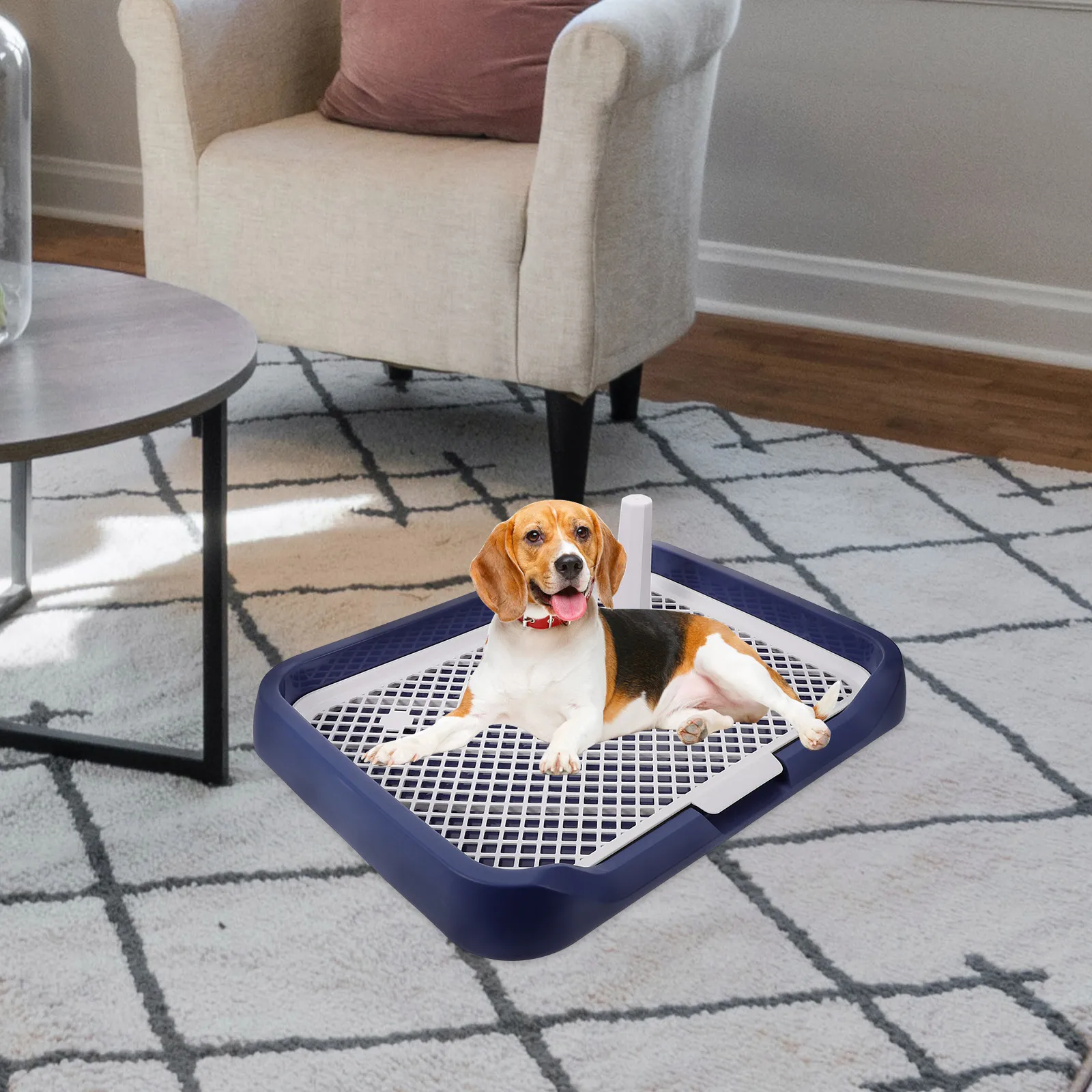 

Dog Toilet Blue Plastic Potty Tray for Small Dogs Easy Clean Large Capacity Splashproof Pet Urinal Indoor Training Sand Basin