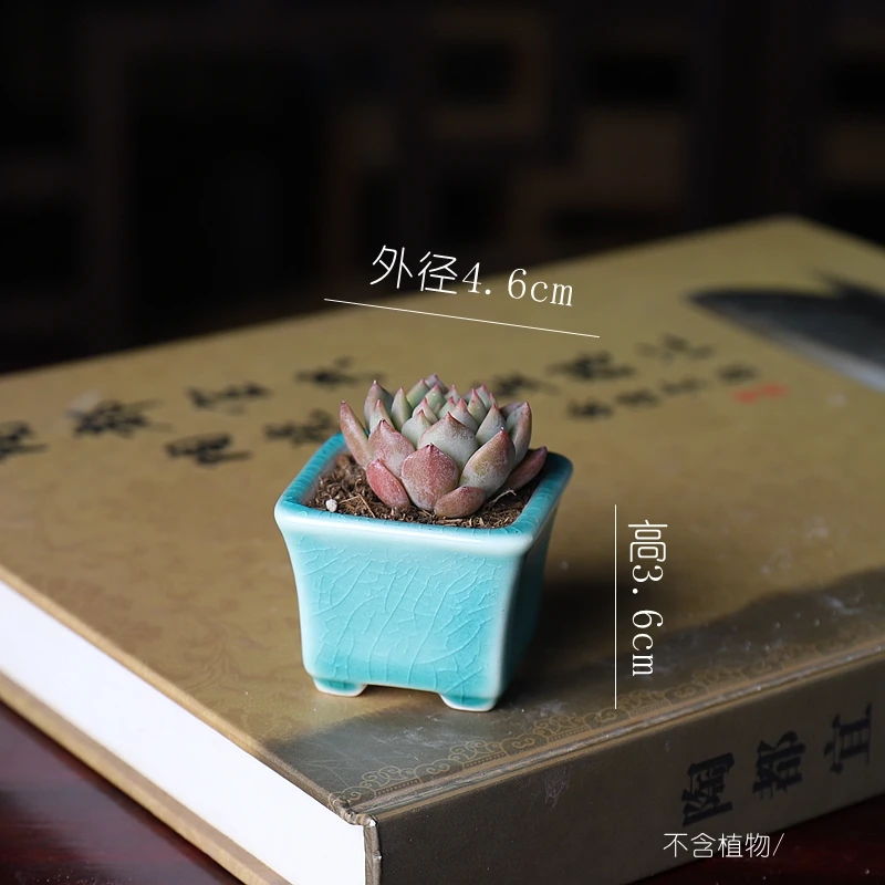 Ceramic Flower Carved Bonsai Pot, Colorful, Super Small, Square, Traditional Chinese Shape, Garden Decoration