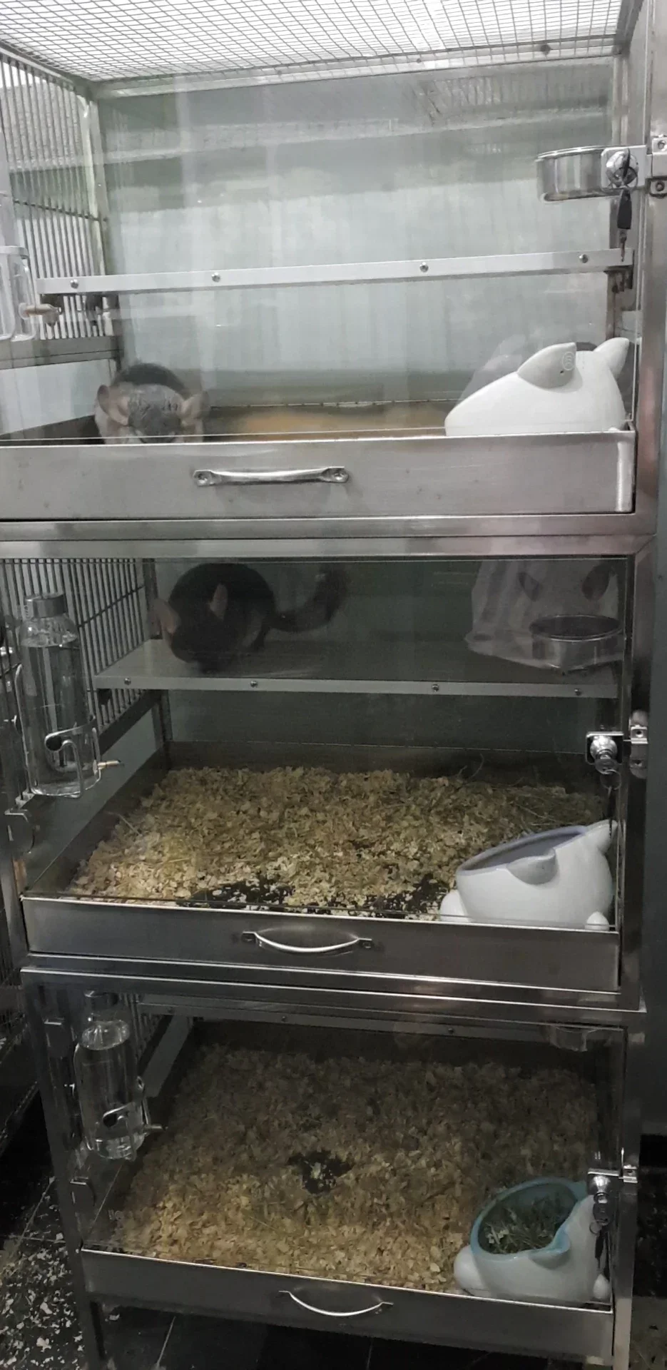 Hot SalesLarge Stainless Steel Tempered Glass Landscape Totoro Cabinet Cage Villa