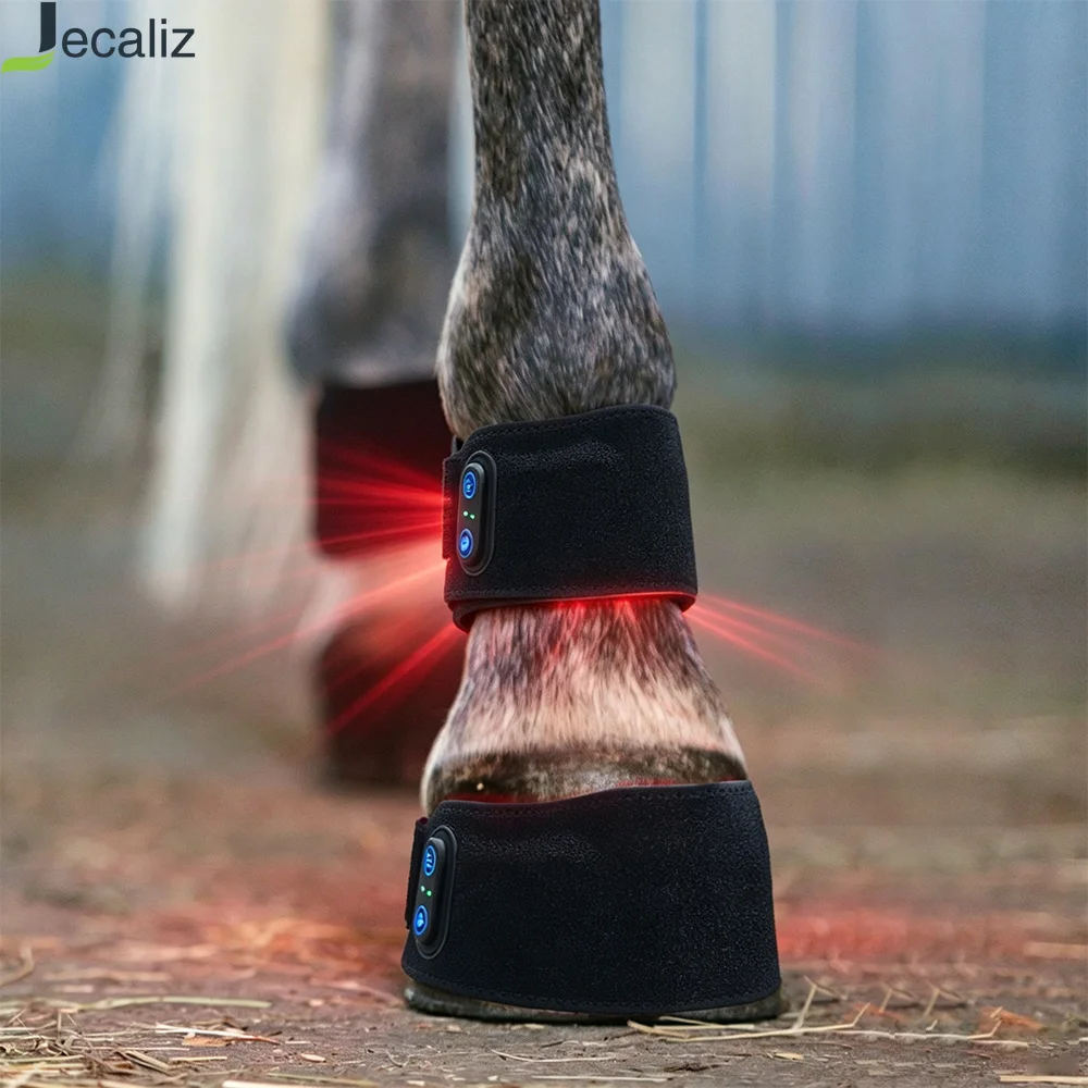 Red Light Therapy Device for Pain Relief Infrared Light Physiotherapy for Horse Dogs Cats Pets Use Treatment Rechargeable
