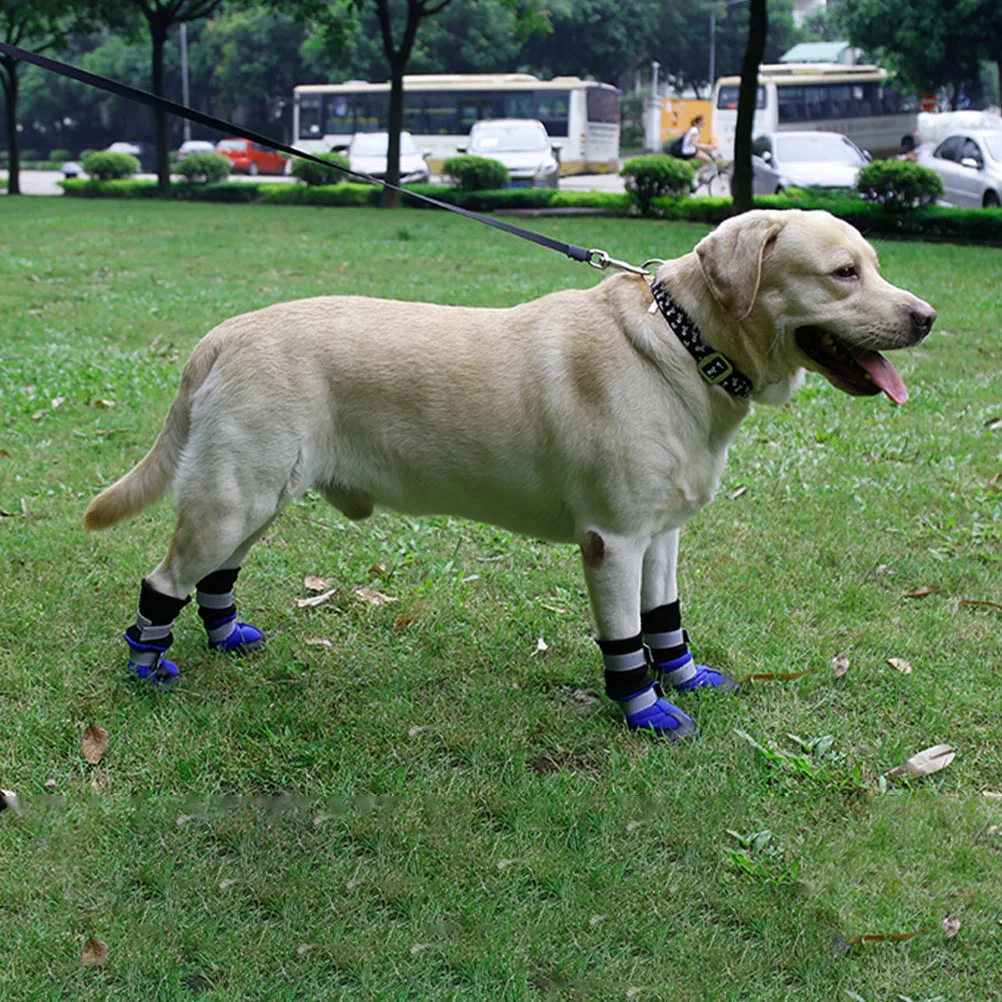 

4 Pcs Shoes Dog Long Pet Warm Snow Boots for Dogs Waterproof Rain Outdoor Small Blue Winter