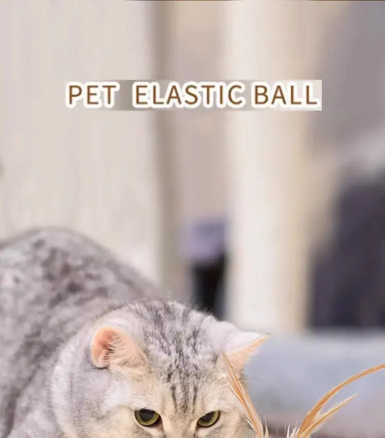 1/3 Stück interaktives Katzenspielzeug: Interaktive, federnde Bälle mit Federn, Katzenspielzeug für den Innenbereich, um die überschüssige Energie der Katze abzubauen. – Detail 1