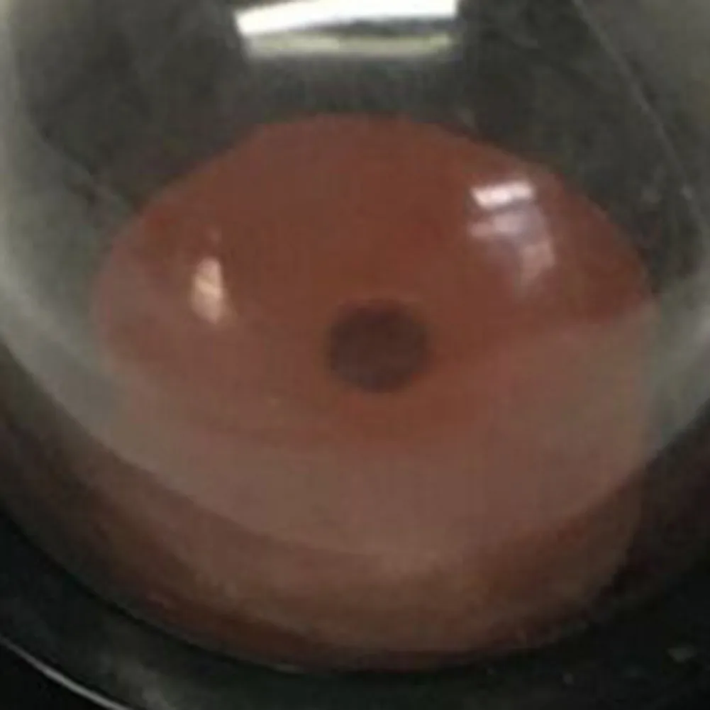 

Aftermarket For Primer Bulb for Multi Tool Models TTL488GDO and TTK587GDO with Clear Return Pipe for Rear Position