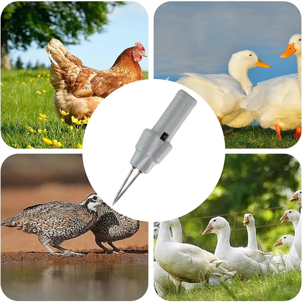 Electric Hair Plucking Artifact Chicken Feather Plucker Machine Handheld Household Poultry Tweezers Duck And GooseHair Removal