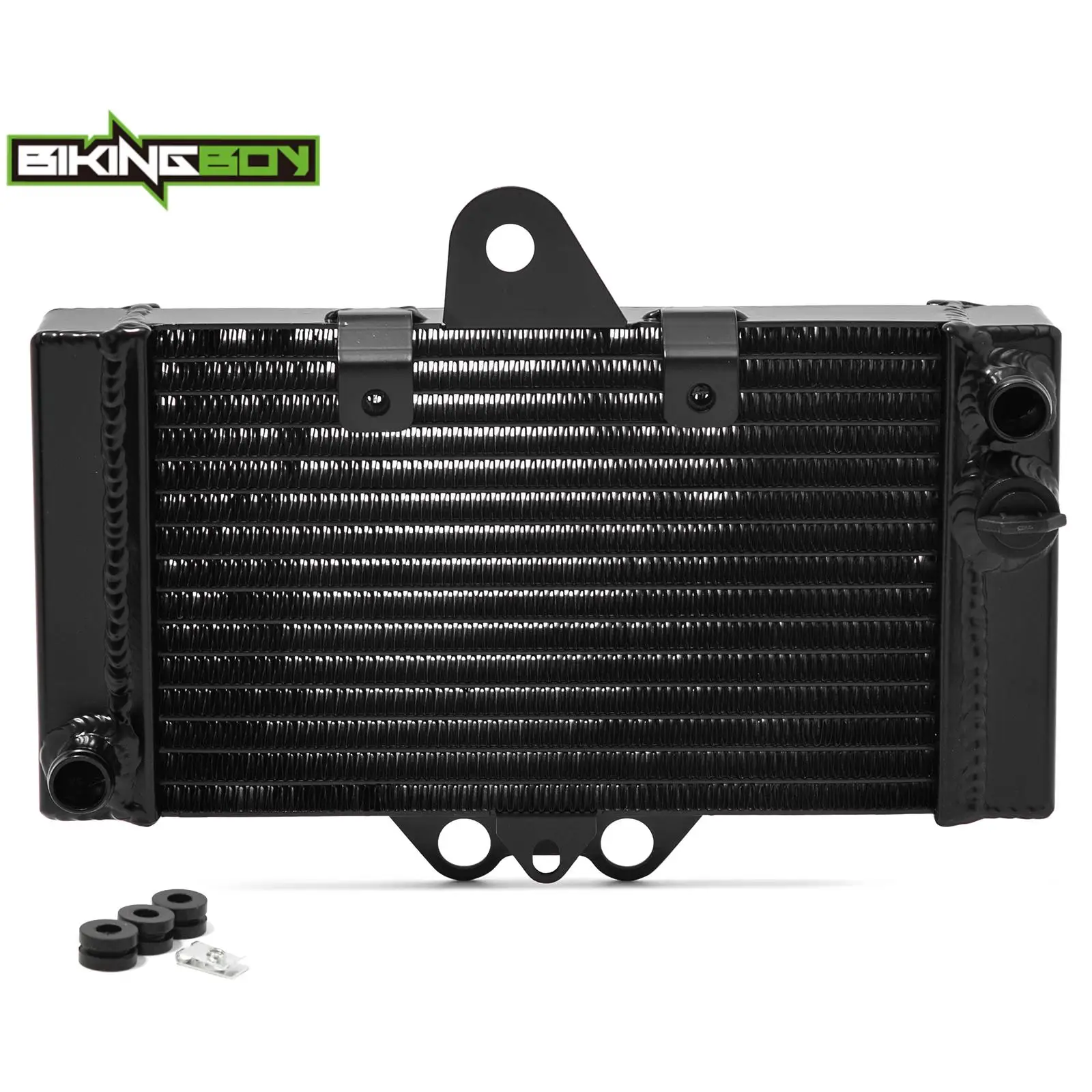 BIKINGBOY For Honda VTR 250 98 99 00 01 02 03 04 05 06 07 08 Engine Radiator Cooling VTR250 1998-2008 Water Cooler Aluminum Core