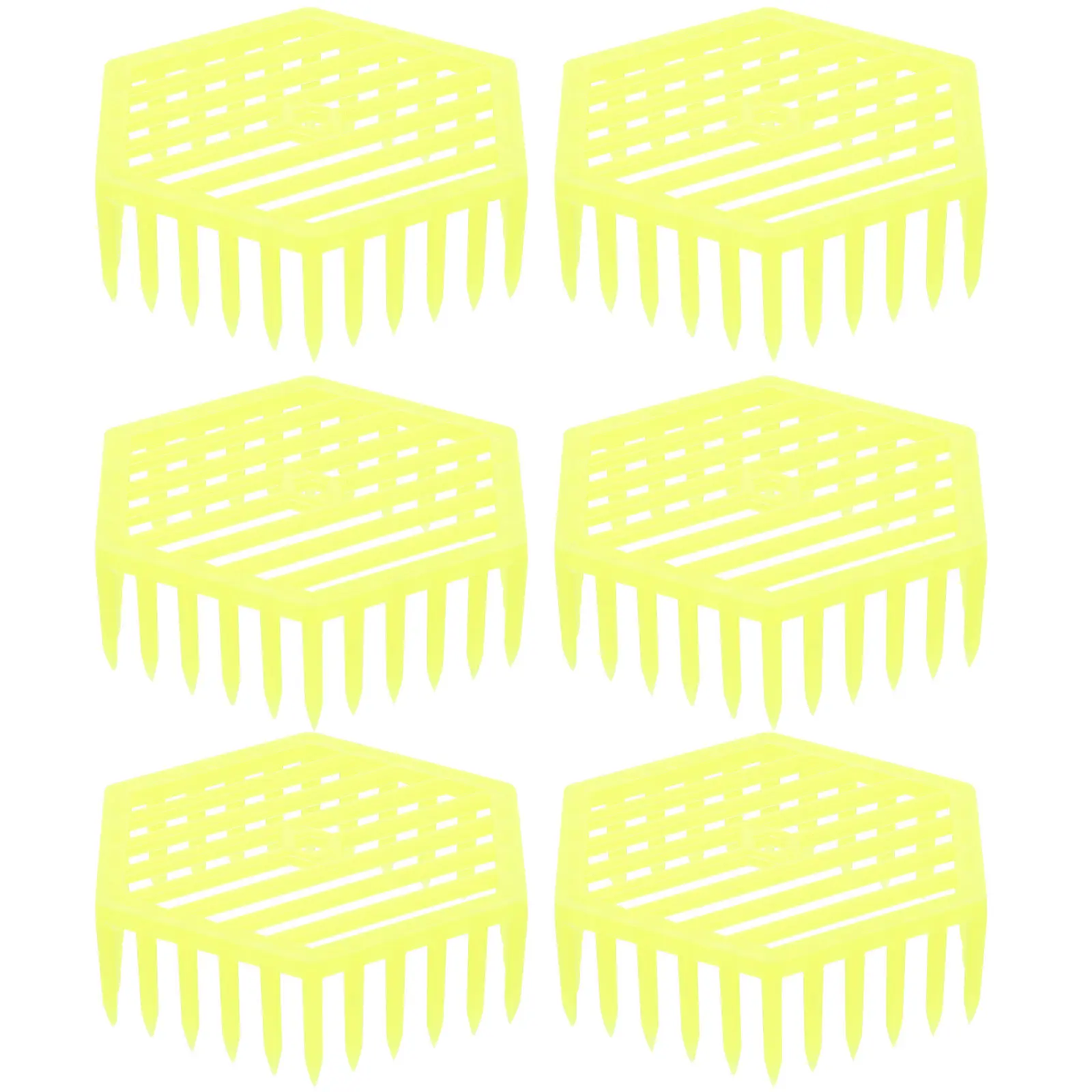 Bee Queen Rearing Plates 6 Pack Easy Use Feeding Control Queen Management Beekeeping Tools Accessories