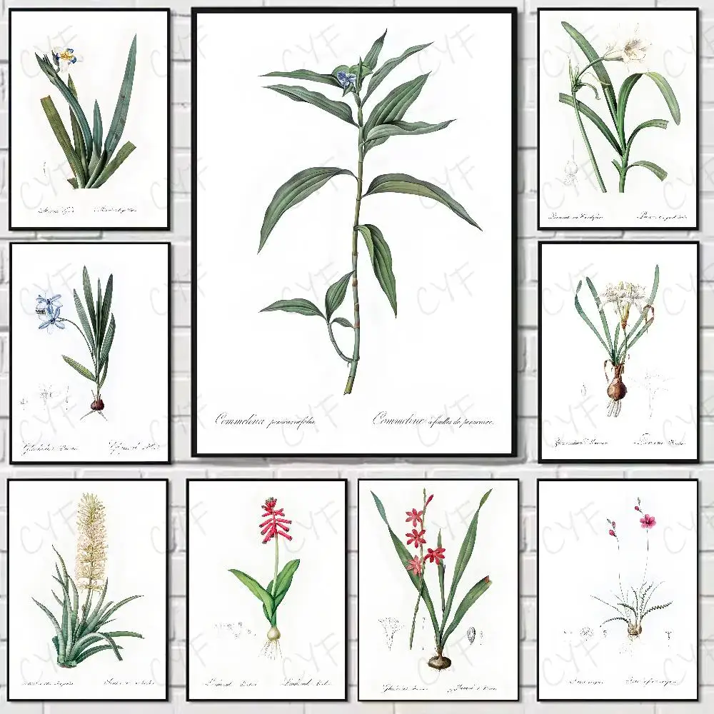 

Plants Wildflower Weed Nordic Poster Home Living Bed Room Bar Hallway Sticky Wall Art Printing Waterproof Aesthetic Decor