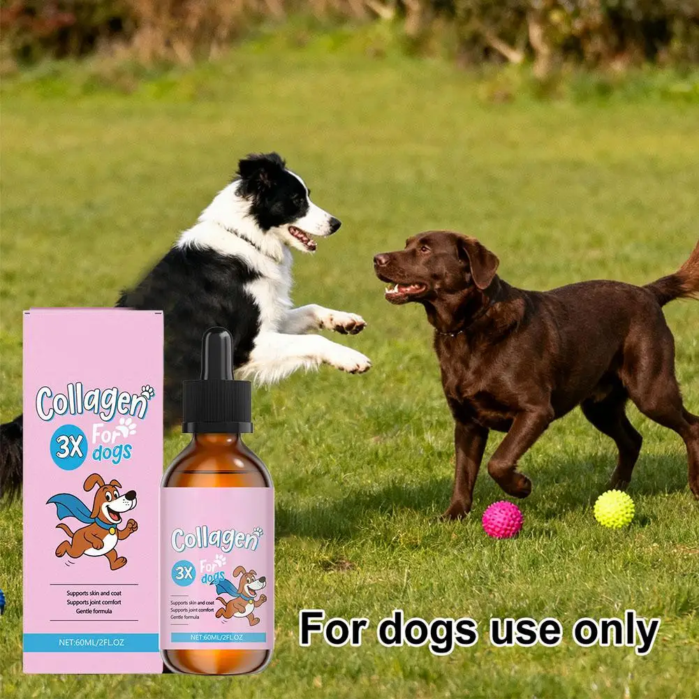 Thumbnail 2 - #42 Dog Coats List of Top Picks