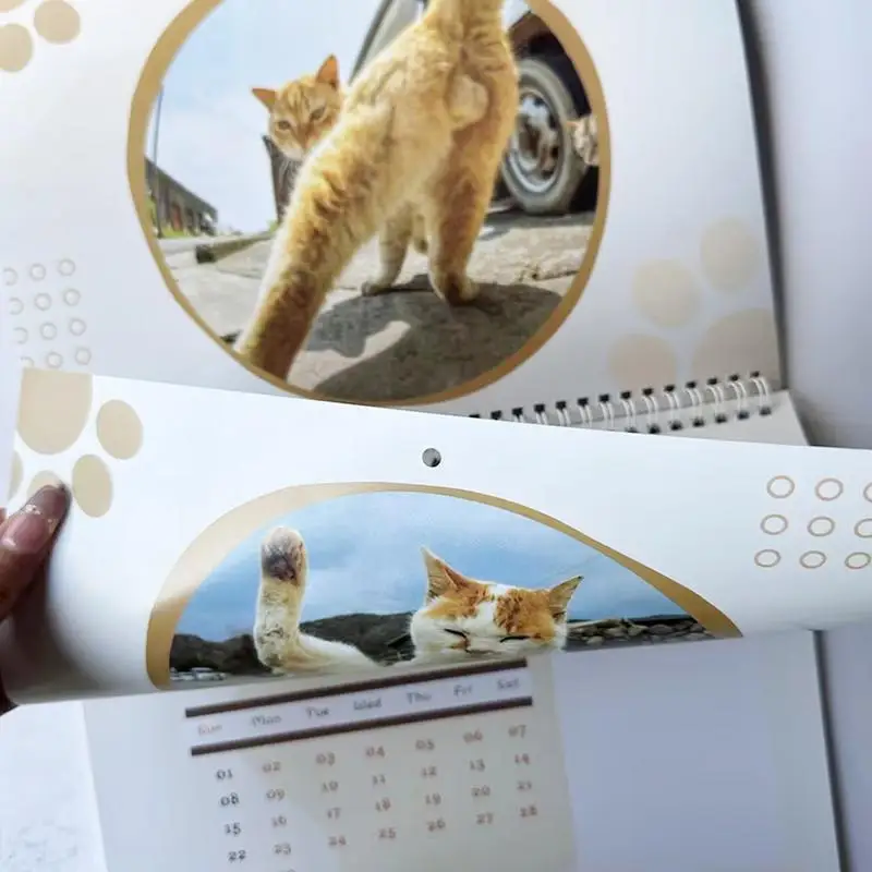 مضحك القط بعقب التقويم الشهري 2025 كرات القط تنظيم التقويم ديكور المنزل مخطط جدول قابل للتعليق للمدرسة المنزلية