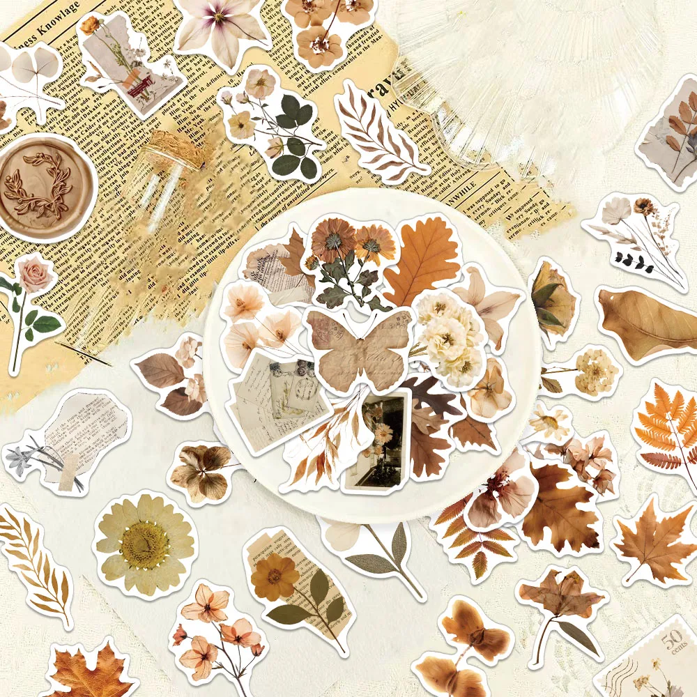 60PCS Creative Drie…