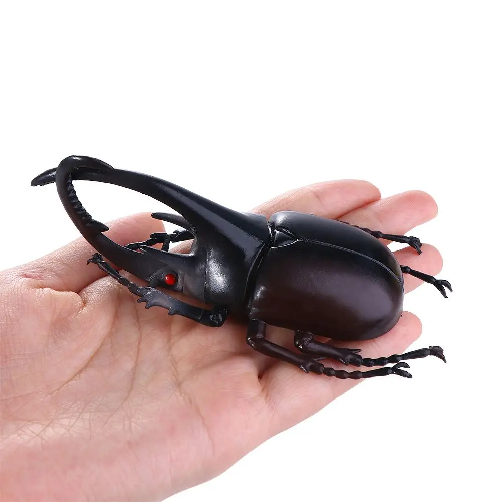 

Toy Simulation Animals Insect Toy Joke Toys Beetle Figures Simulation Beetle Special Lifelike Model Insect Model Beetle Toys