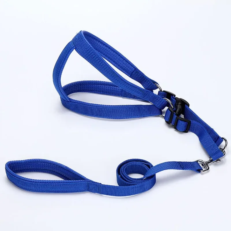 2.0cm Foam Padded  Harness Leash Set for Dogs Nylon Dog Harness for Large Dogs Three Colors Dog Lead Rope