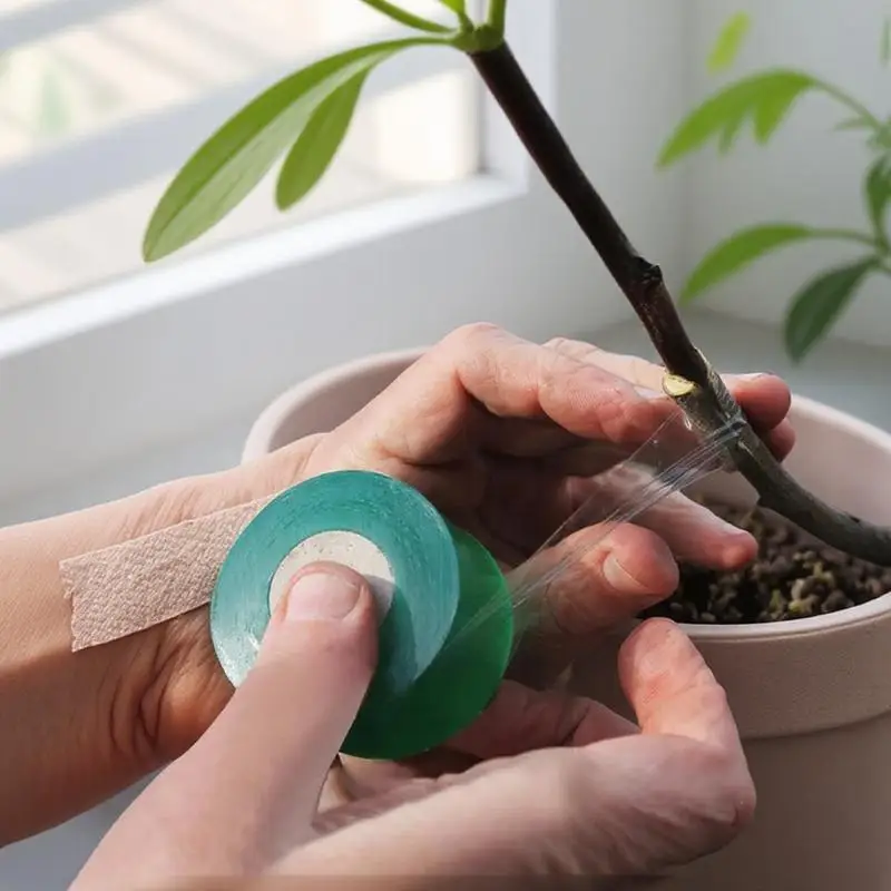 ذاتية اللصق PE تطعيم الشريط لفة فيلم أشرطة الحضانة Parafilm القابلة للتحلل لدعم النبات أدوات نباتات الحديقة القابلة للتمدد #1