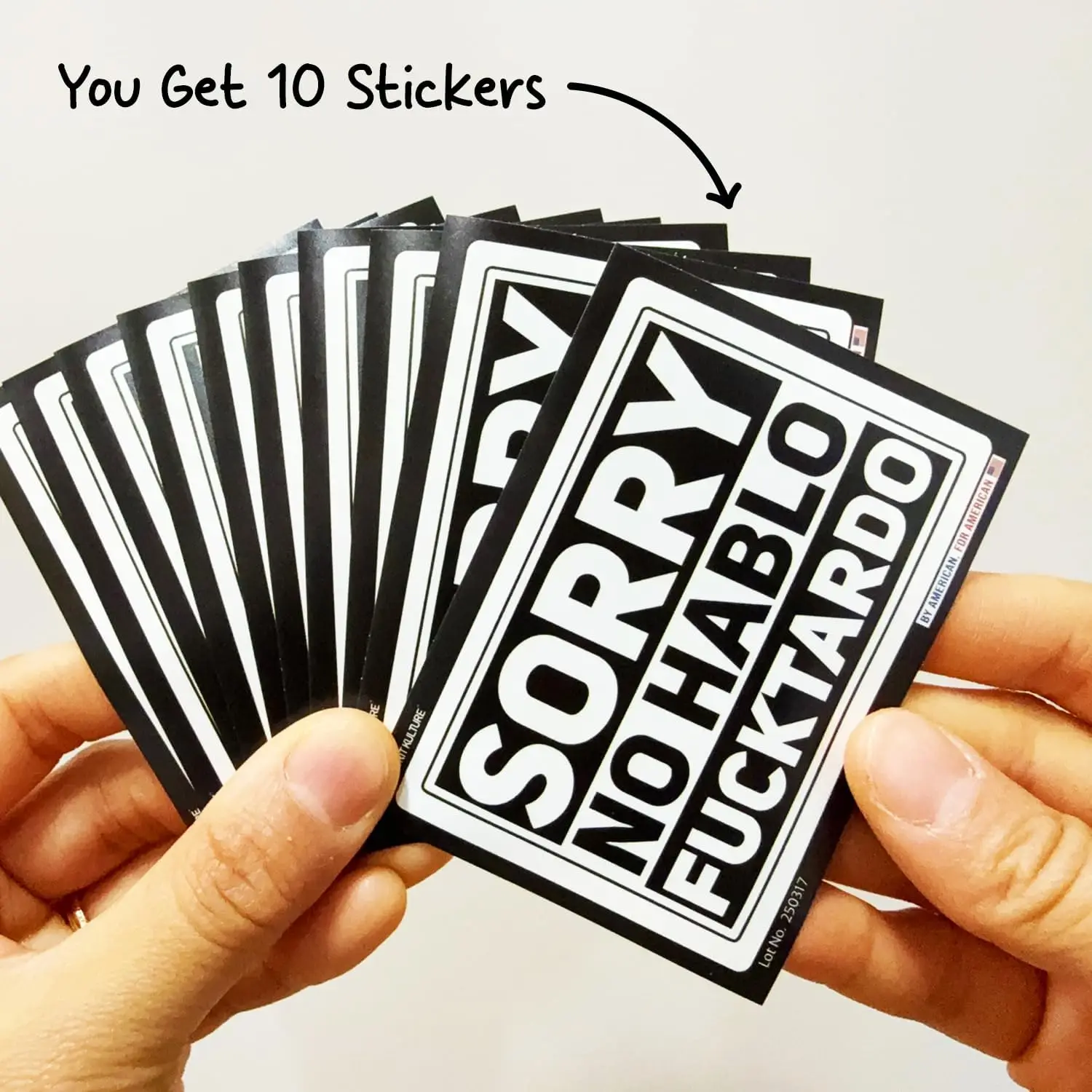 

10 шт., «Извините, нет Hablo Fuctardo», наклейка-наклейка, забавная испанская наступательная поговорка, саркастическая высечка, водонепроницаемый винил