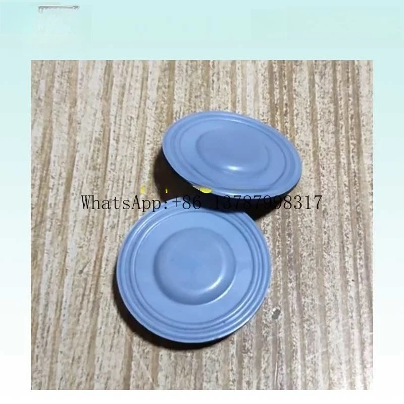 1000248 Prominent Measurement pump Vario dosing pump diaphragm accessories