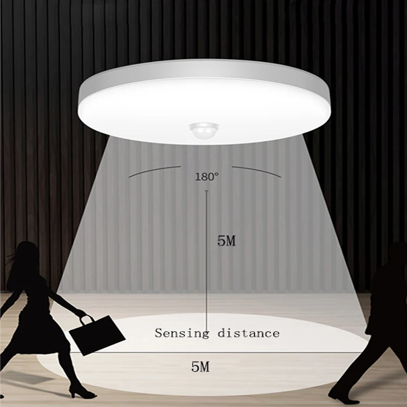 PIR Motion Sensor Modern LED Ceiling Chandelier 32W 16W 8W Induction Led Ceiling Lamp For Bedroom Kitchen Corridor Lighting 220V