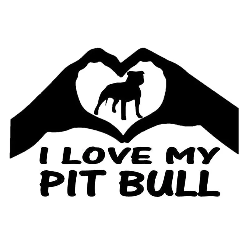 16 * 10.4 Cm Bullfi… - image