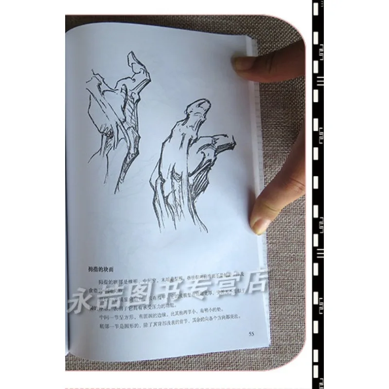 Bridgman Hands Painting Tutorial Drawing Hand Artwork Artistic Human Anatomy Instruction Sketching Small-sized Book Beginner