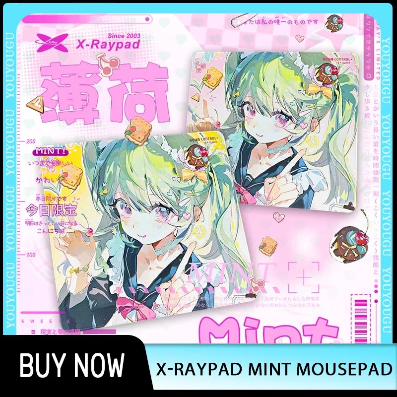 X-Raypad Aqua Control Plus alfombrillas de ratón para juegos AC + alfombrillas de ratón de menta alfombrilla de ratón para juegos 450x400x4mm personalizada para accesorios de oficina para jugadores