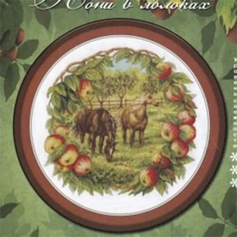 7411 Kits de Broderie Point de Croix, Peintures au Point de Croix 14ct 18ct, Kit Complet d'Aiguilles à Broder et d'Artisanat, Loisirs Créatifs